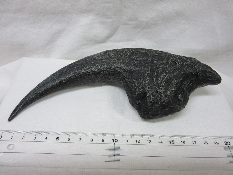 ��ץꥫ�����������륹������������