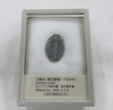 ���С����������饷����002