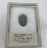 ���С����������饷����003