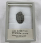 ���С����������饷����004