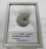 ���С������ʥ��ȡ��쥤��ܡ���003