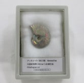 ���С������ʥ��ȡ��쥤��ܡ���002