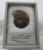 ���С���åɥ����ʥ��ȡ�002