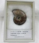 ���С���åɥ����ʥ��ȡ�004