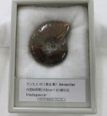 ���С���åɥ����ʥ��ȡ�005