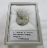 ���С������ʥ��ȡ��쥤��ܡ���004