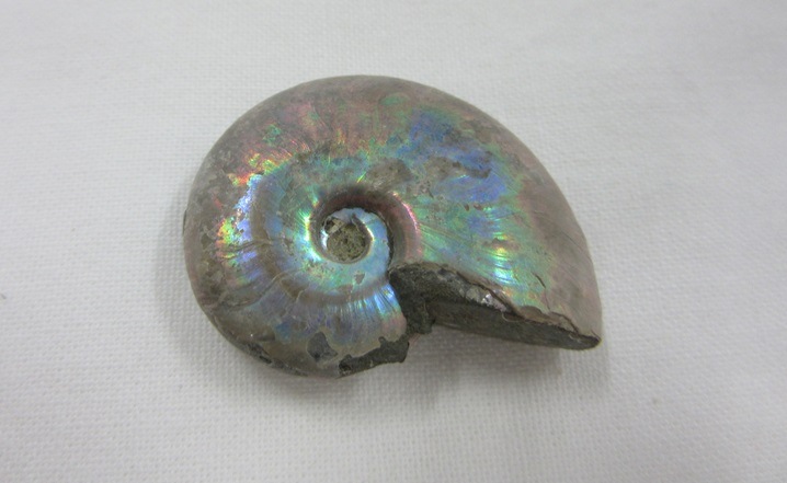 ���С������ʥ��ȡ��쥤��ܡ���005