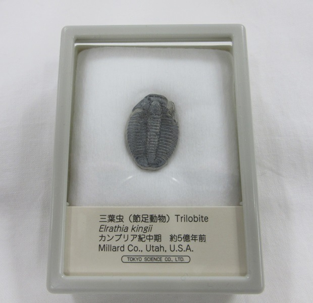 ���С����������饷����002