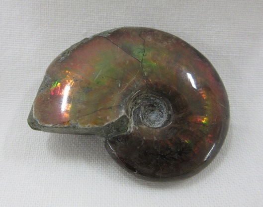 ���С���åɥ����ʥ��ȡ�002