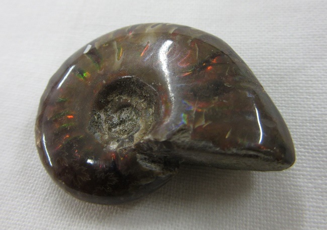 ���С���åɥ����ʥ��ȡ�003