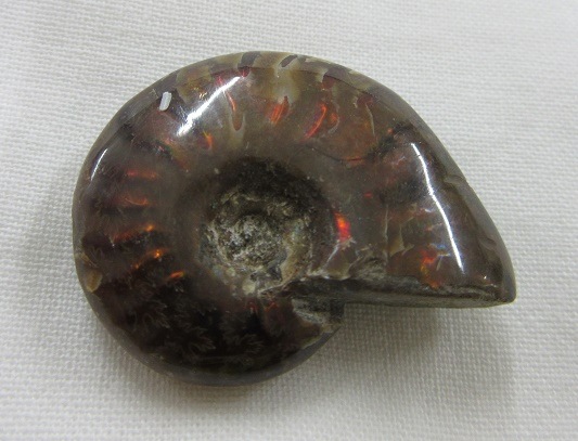 ���С���åɥ����ʥ��ȡ�003