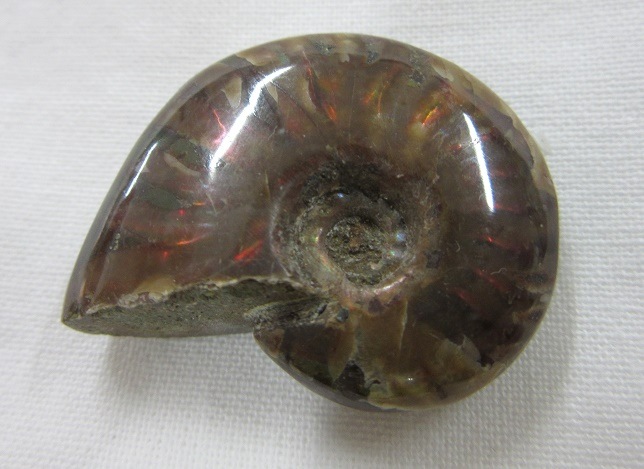 ���С���åɥ����ʥ��ȡ�003