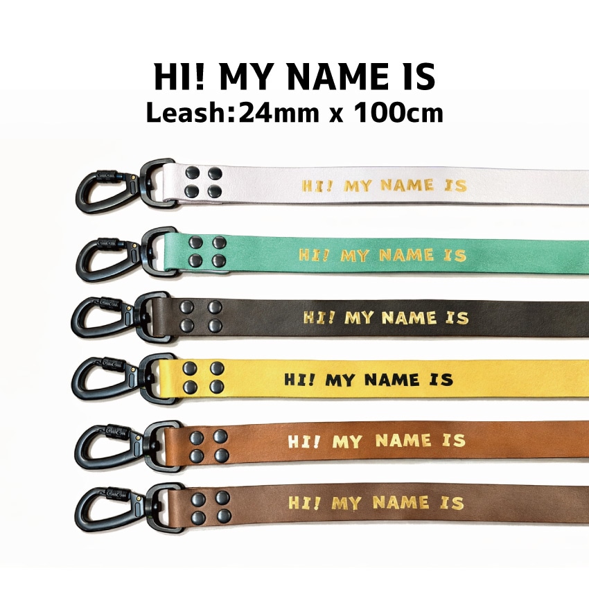 HI! MY NAME IS （SHORT LEASH）