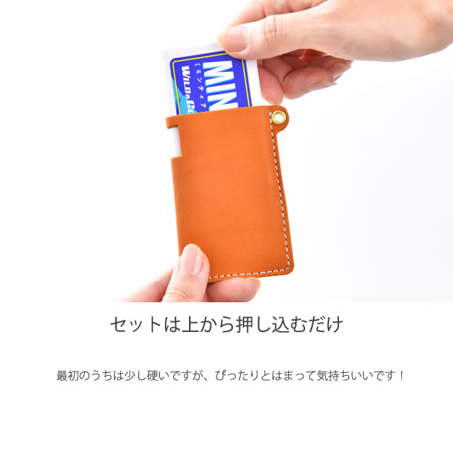 Mintia Case  ミンティアケース