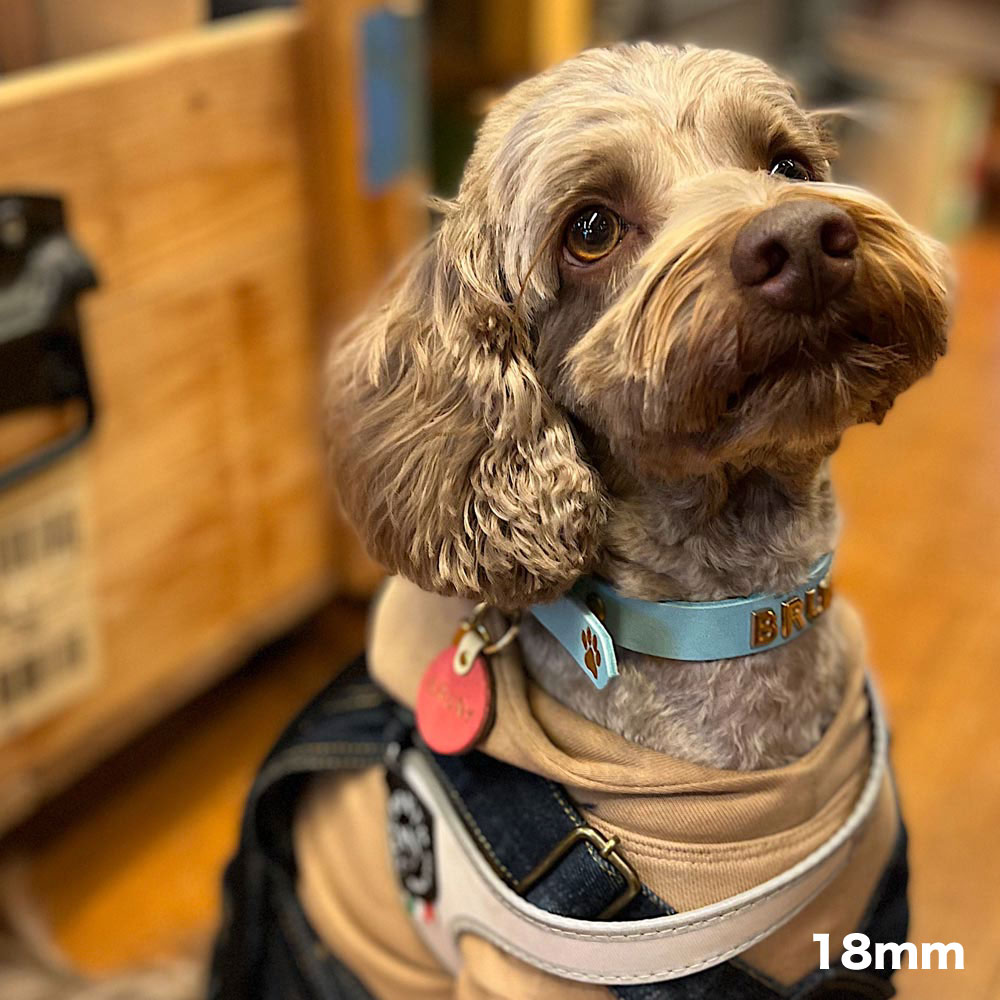 Dog Collar:首輪（15mm/18mm/21mm）