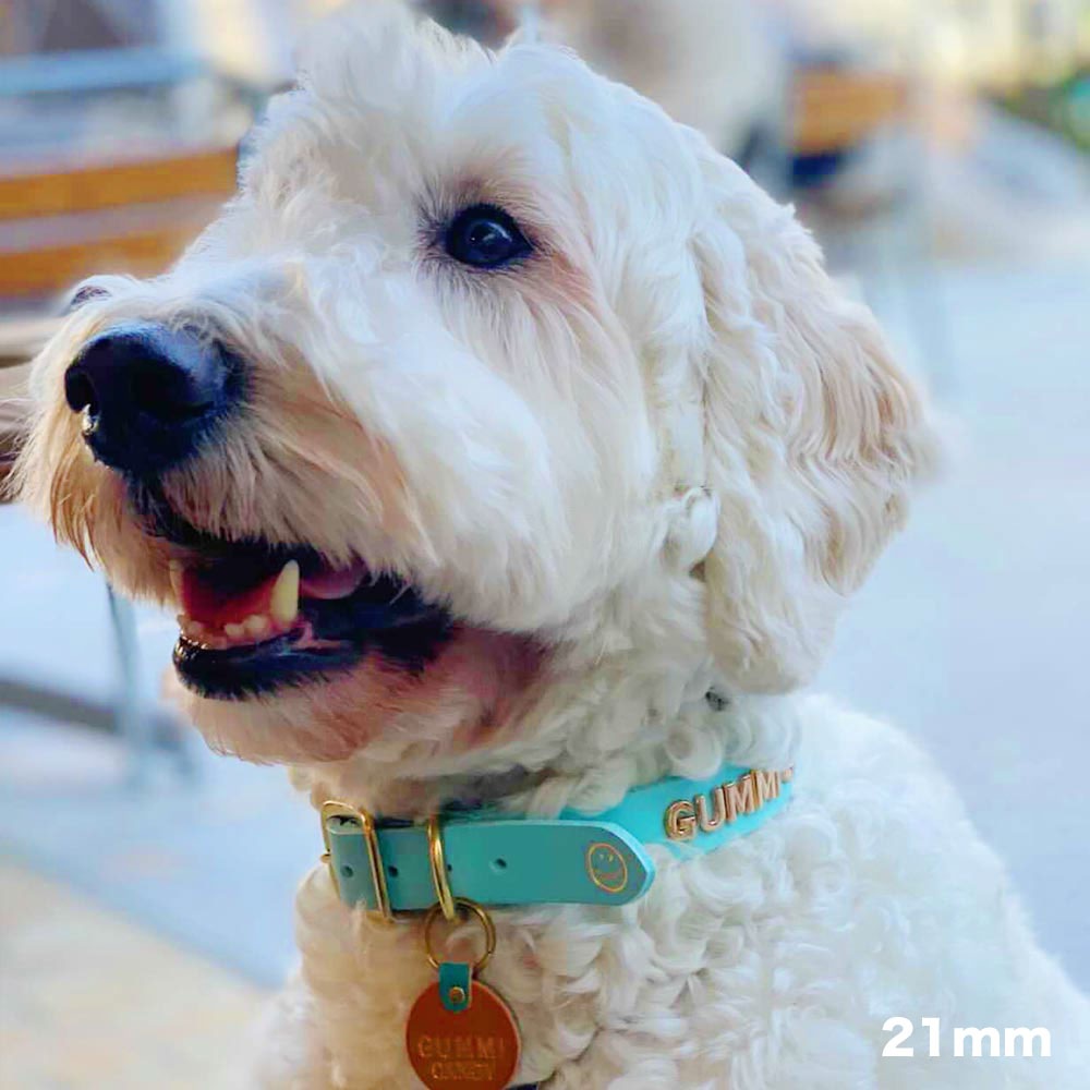 Dog Collar:首輪（15mm/18mm/21mm）