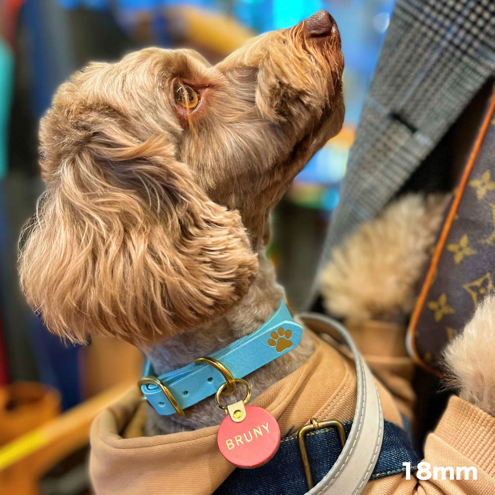 Dog Collar:首輪（15mm/18mm/21mm）