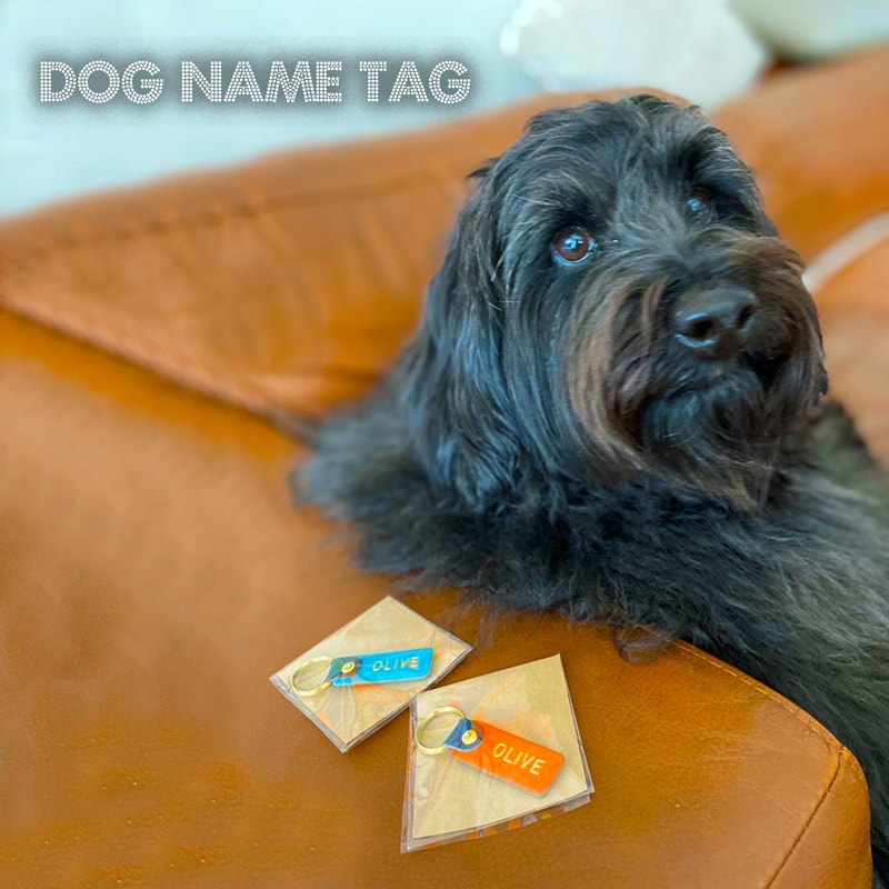 WanTag【スクエアー30mm12mm】ペット用犬 迷子札