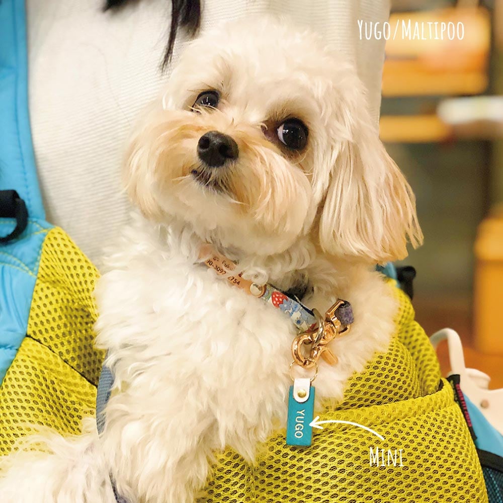 WanTag【スクエアー30mm12mm】ペット用犬 迷子札