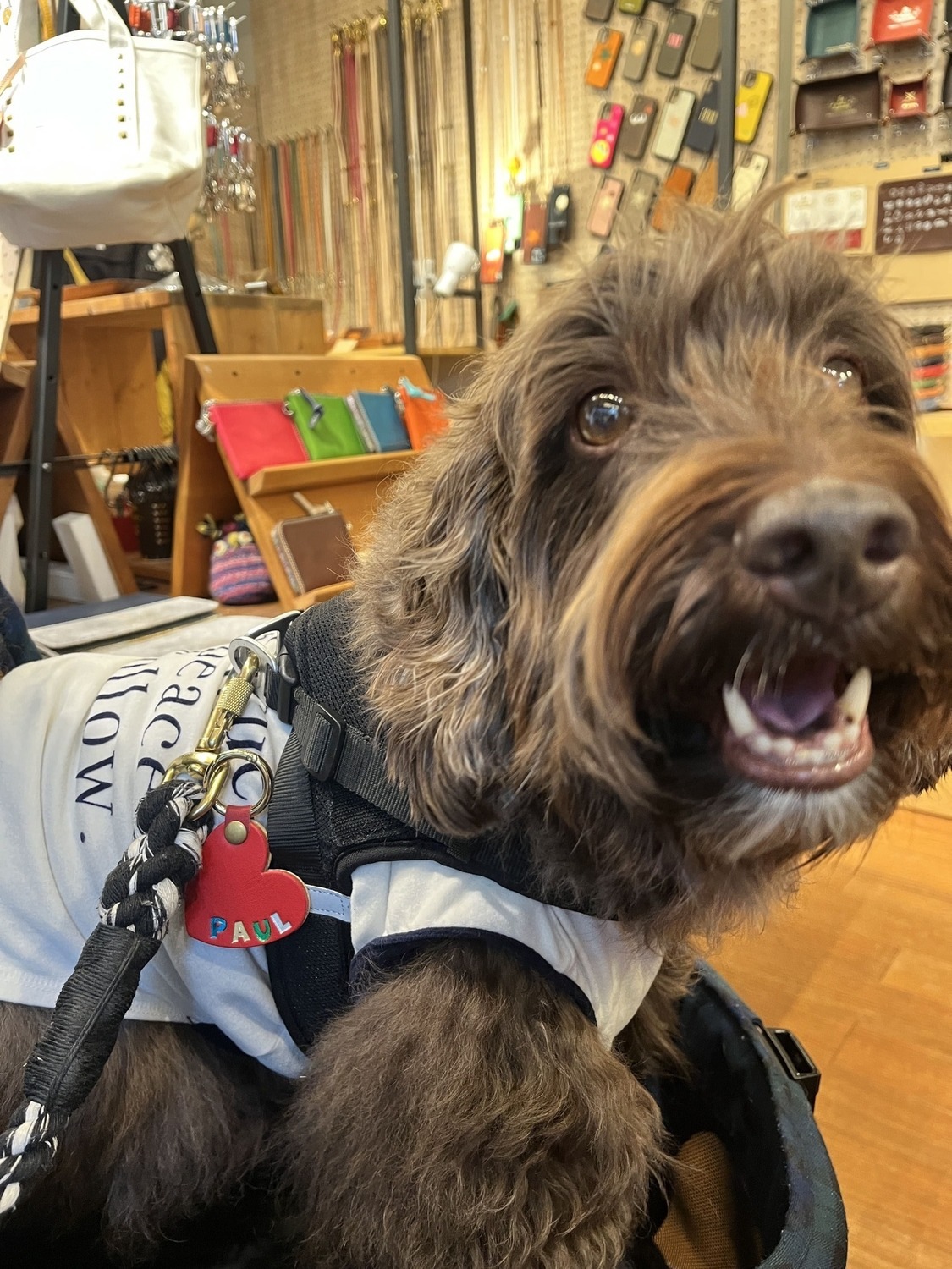 WanTag【ハート S / M / L】ペット用犬 迷子札