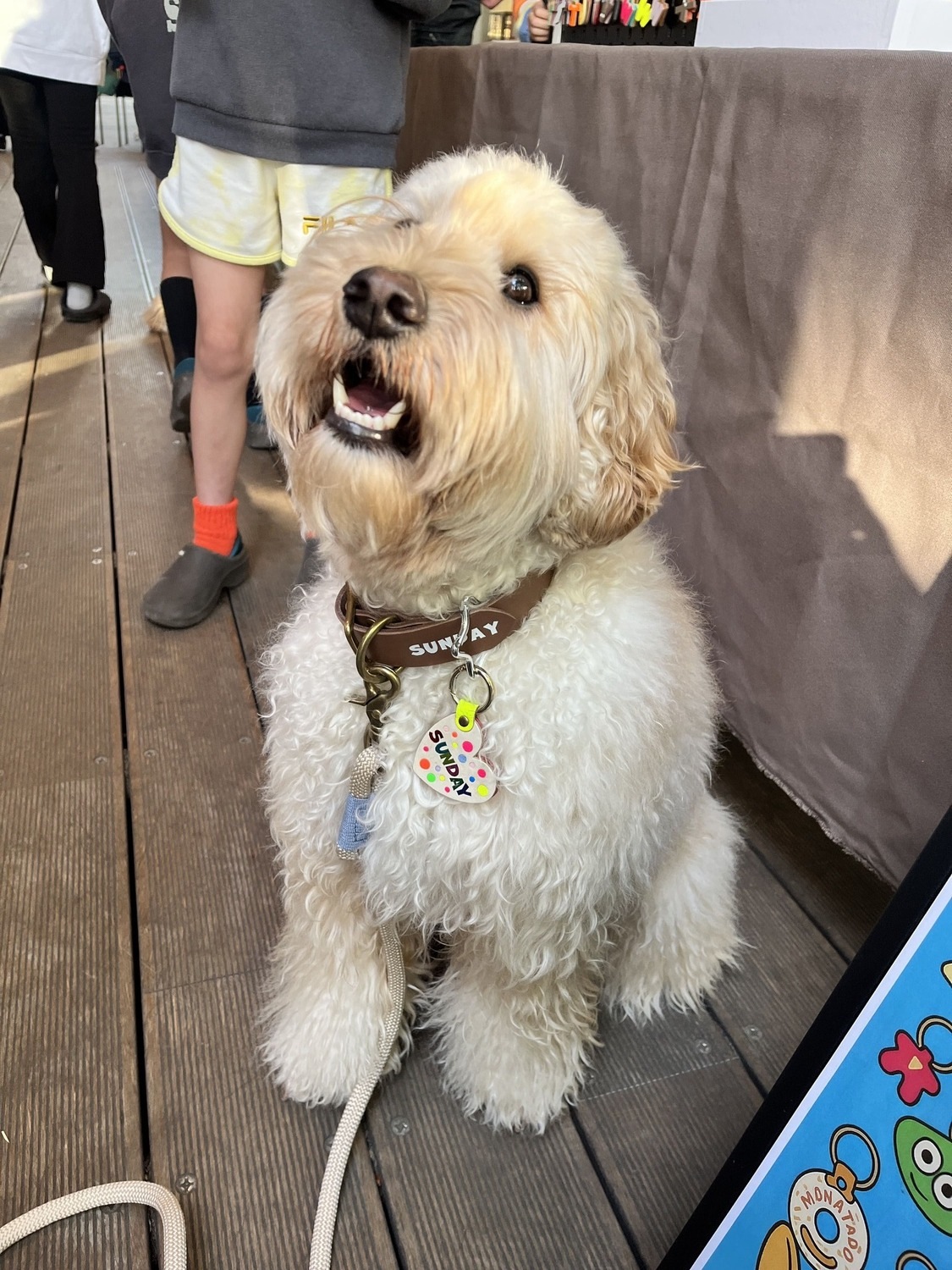 WanTag【ハート S / M / L】ペット用犬 迷子札