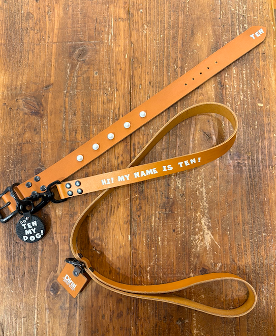 HI! MY NAME IS (SHORT LEASH)