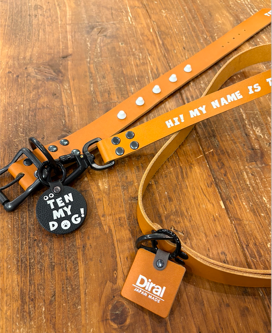 HI! MY NAME IS (SHORT LEASH)