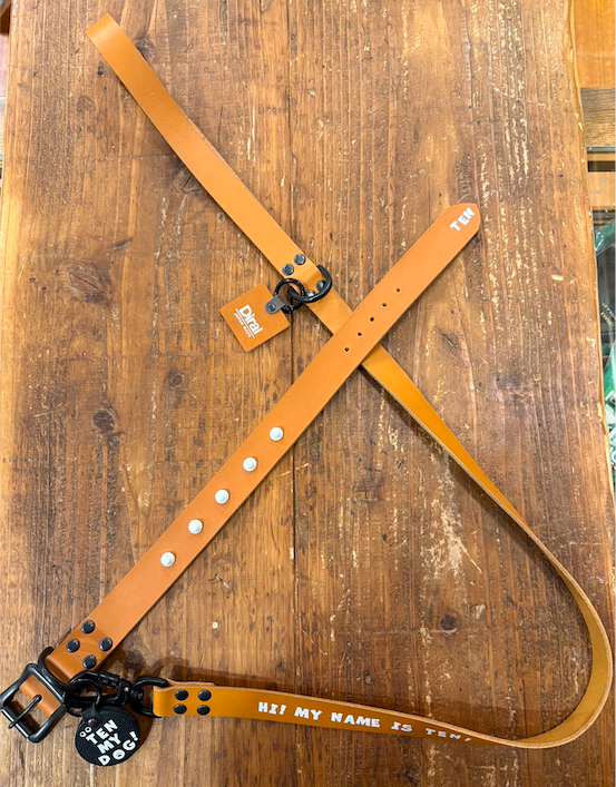 Dog Collar（24mm/30mm）