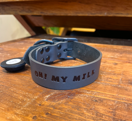 Dog Collar（24mm/30mm）