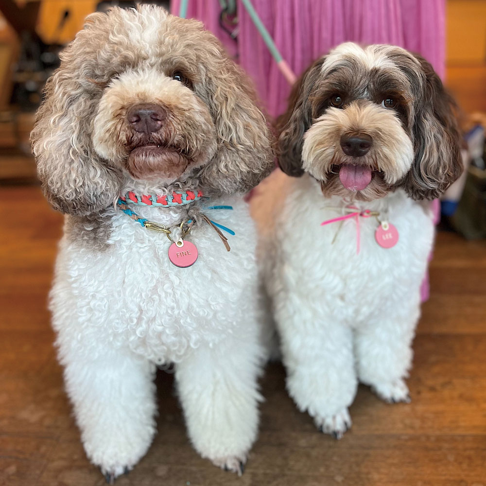 Dog Choker / チョーカー