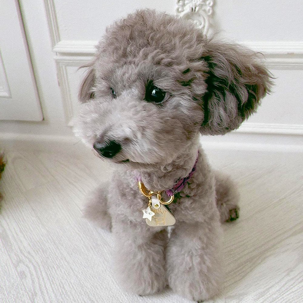 WanTag【トライアングルS/30mm】ペット用犬 迷子札