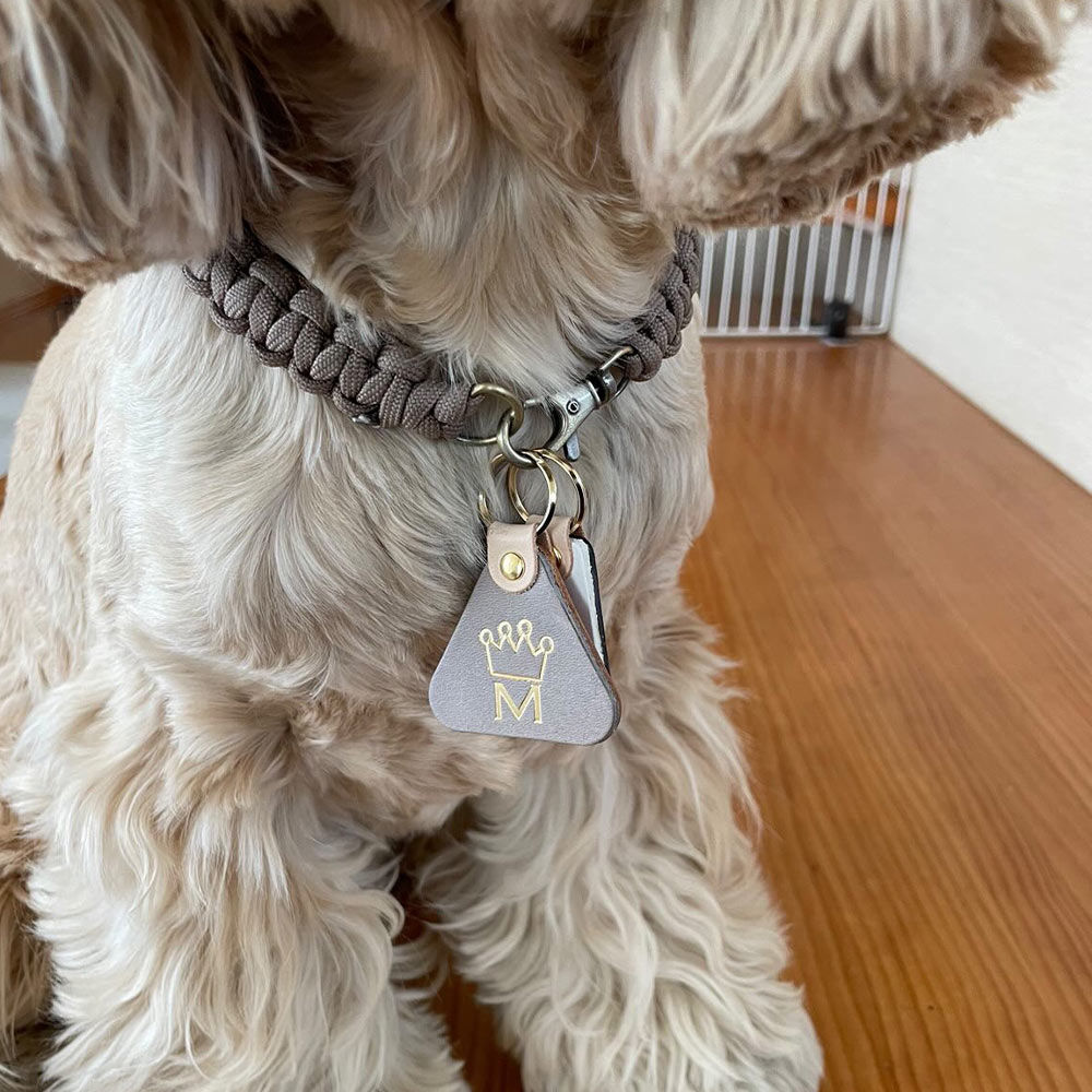 WanTag【トライアングルM/40mm】ペット用犬 迷子札