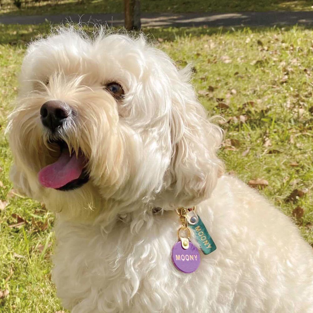 WanTag【ラウンド21mm-50mm】ペット用犬 迷子札