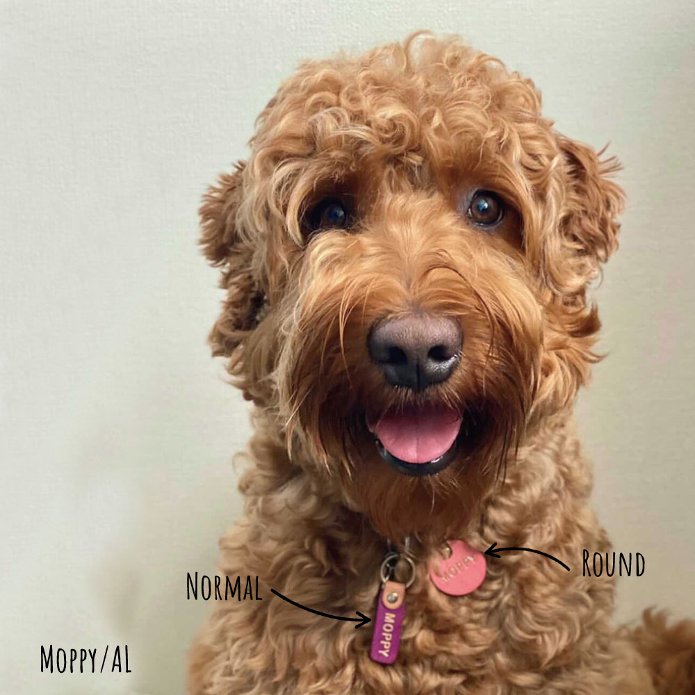WanTag【ラウンド21mm-50mm】ペット用犬 迷子札