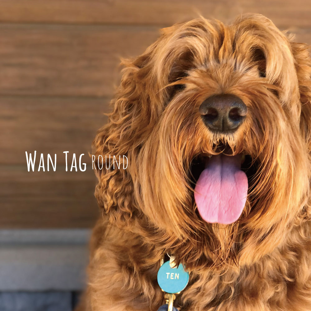 WanTag【ラウンド21mm-50mm】ペット用犬 迷子札