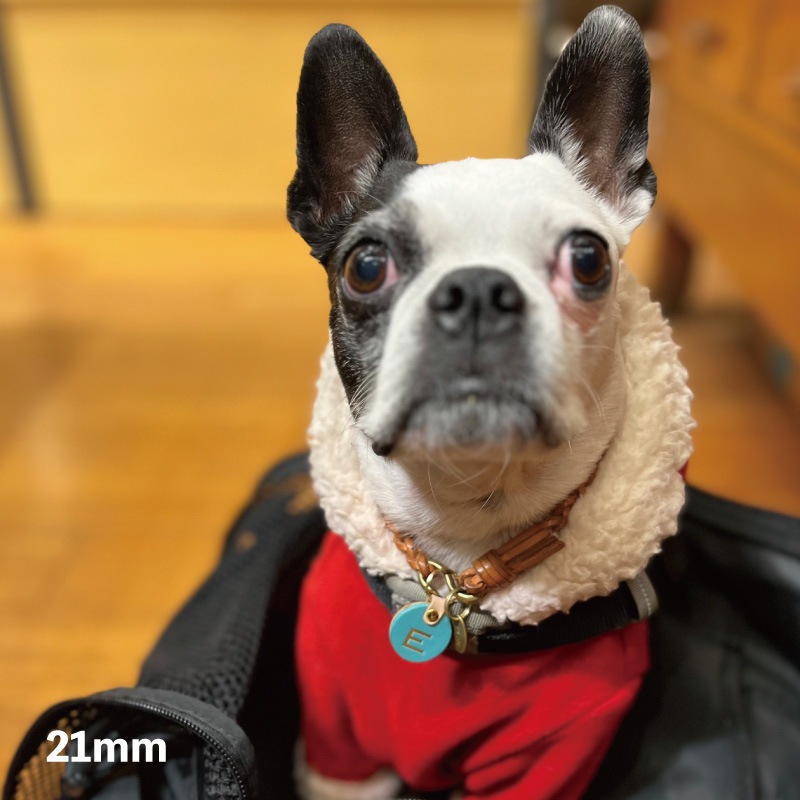 WanTag【ラウンド21mm-50mm】ペット用犬 迷子札