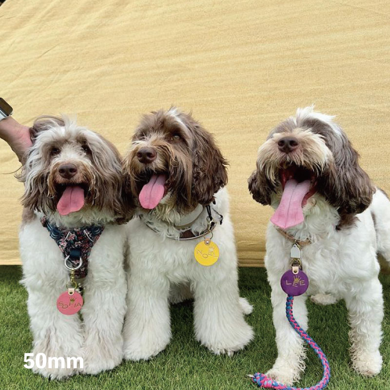 WanTag【ラウンド21mm-50mm】ペット用犬 迷子札