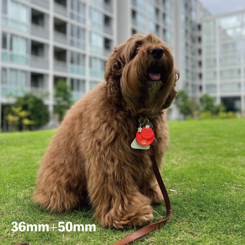 WanTag【ラウンド21mm-50mm】ペット用犬 迷子札