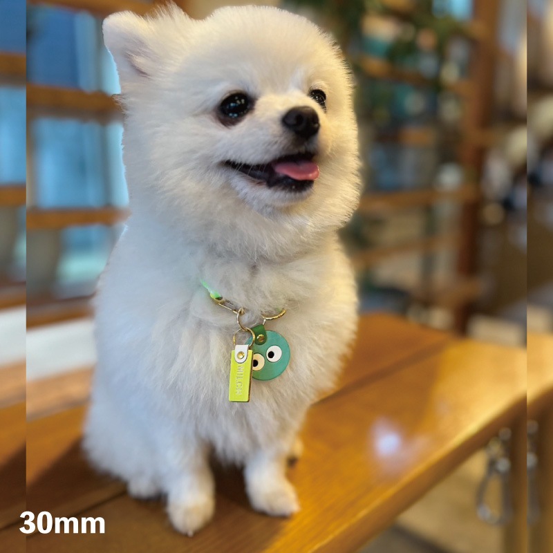 WanTag【ラウンド21mm-50mm】ペット用犬 迷子札