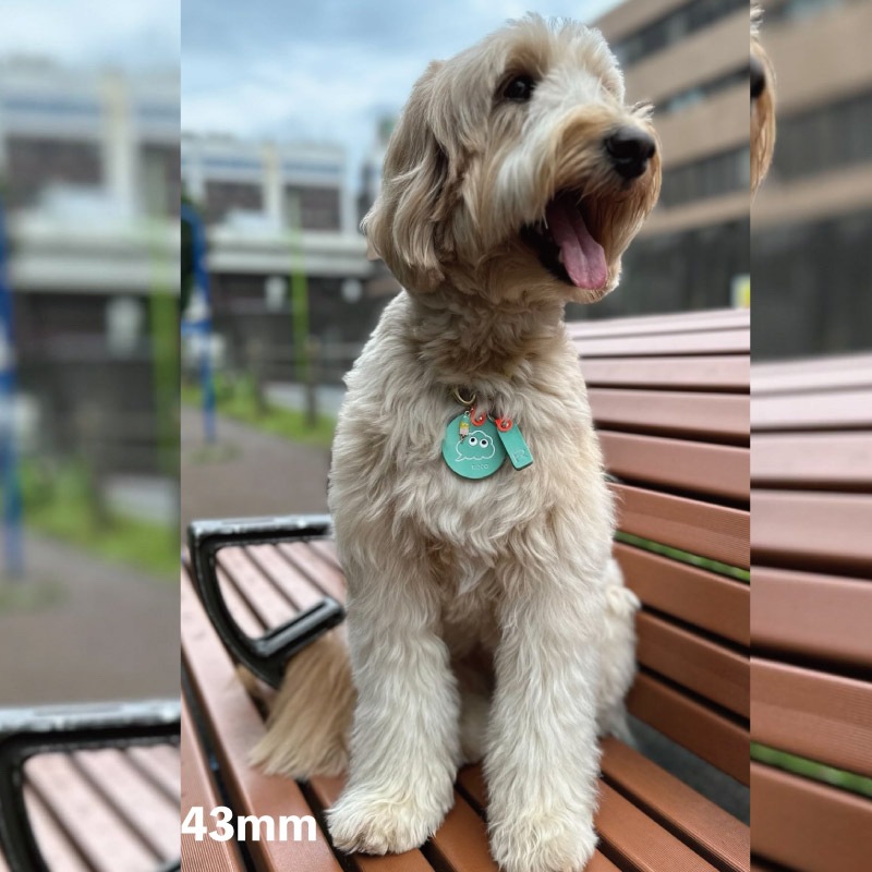 WanTag【ラウンド21mm-50mm】ペット用犬 迷子札