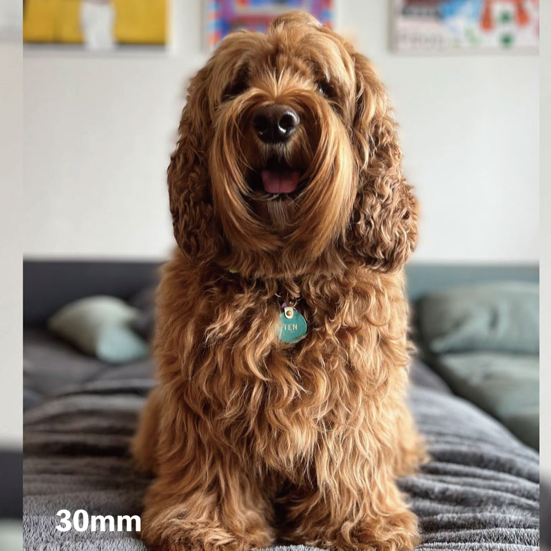 WanTag【ラウンド21mm-50mm】ペット用犬 迷子札