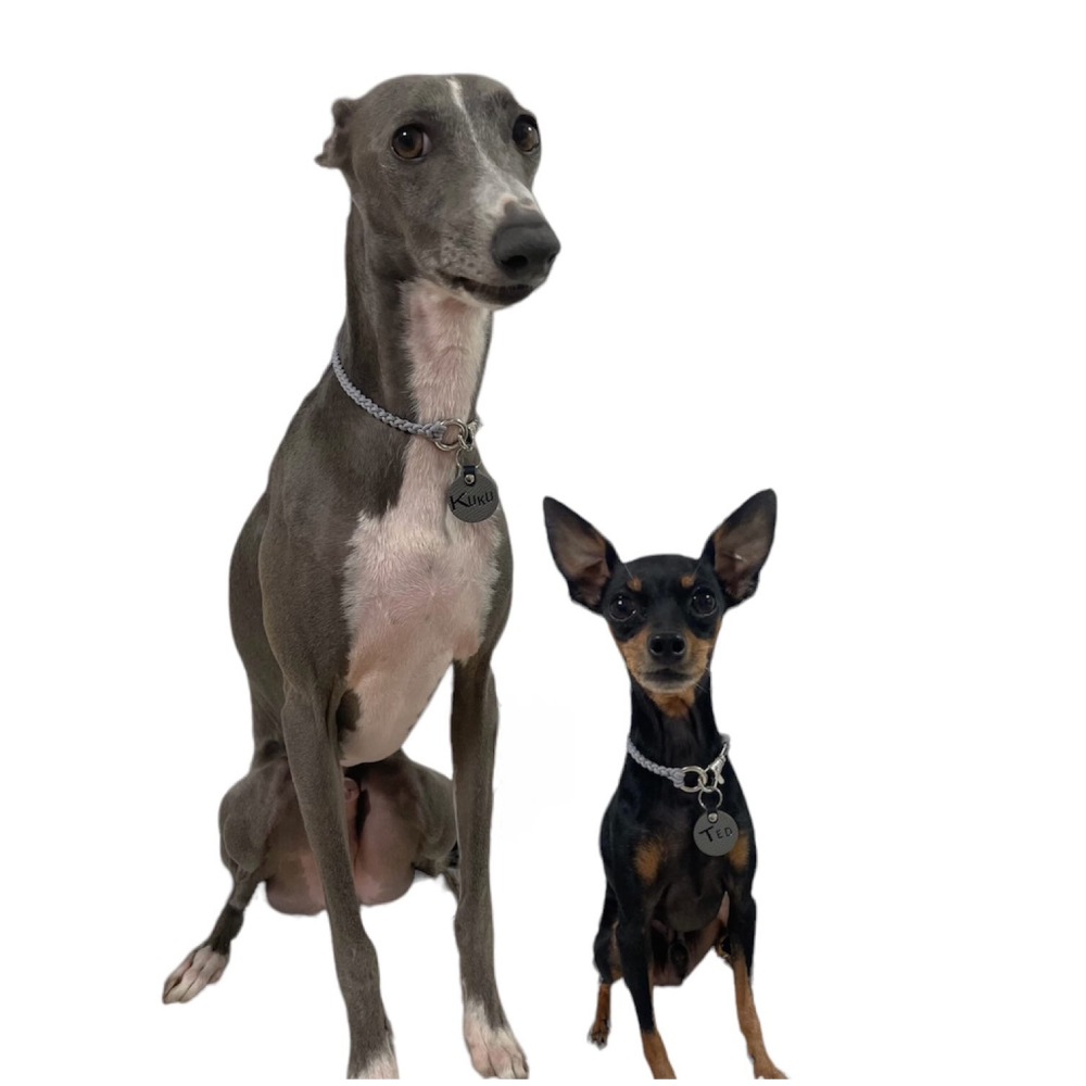 WanTag【ラウンド21mm-50mm】ペット用犬 迷子札