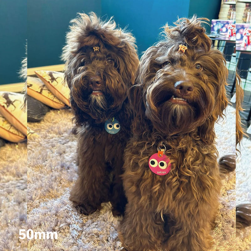 WanTag【ラウンド21mm-50mm】ペット用犬 迷子札