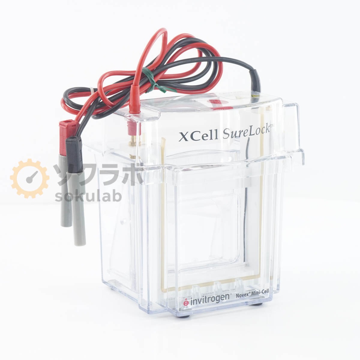 [DW]USED 8���ݾ� invitrogen Xcell SureLock Novex Mini-Cell Electrophoresis System �ߥ˥����ŵ���ư�����ƥ� [07059-0030]