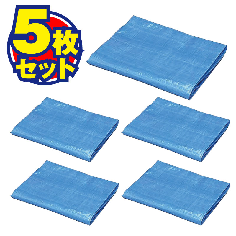 N2�֥롼������ 3.6m��5.4m #2000 5�祻�åȡ�[62269]