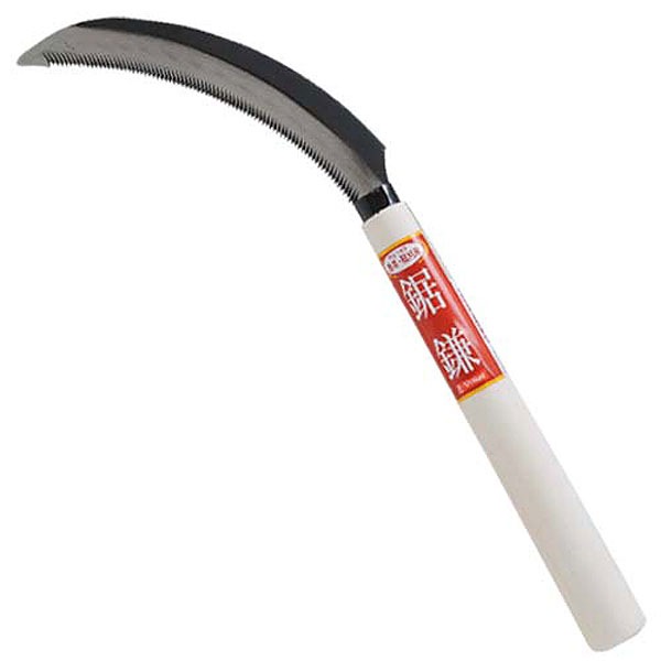 E-Value۵ţǡݣ [25631]