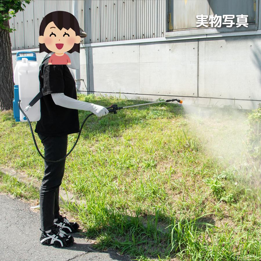 ��NEW����ưʮ̸��12L[12076]