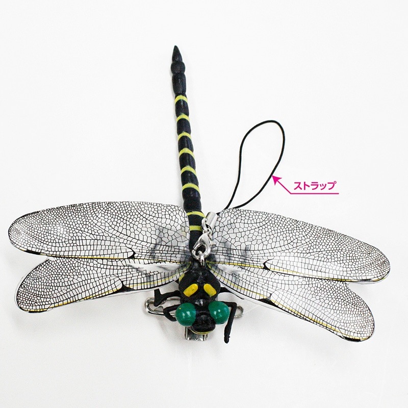 ڹǥŷŨ ˥ M-42 121[90120]