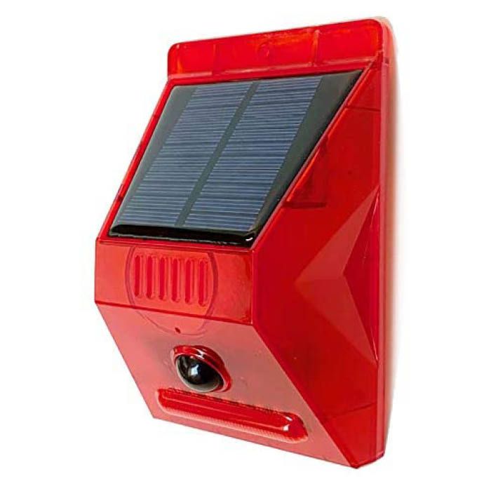 webꥲ饻ʡۥ顼ż顼ٹDLS-AL1 [76957]