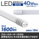 ��ޤȤ�Ƥ�����LED�ָ��� ľ�� 40W�� 120cm SMD ����������10�ܥ��å� [62375]